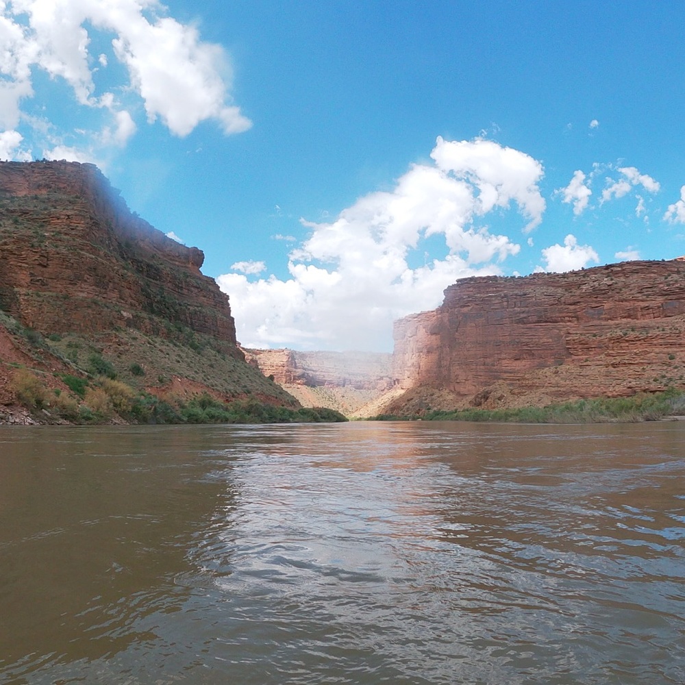 Meet your Posher, Catherine